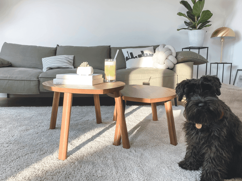 Carpet cleaning in Aiken, SC