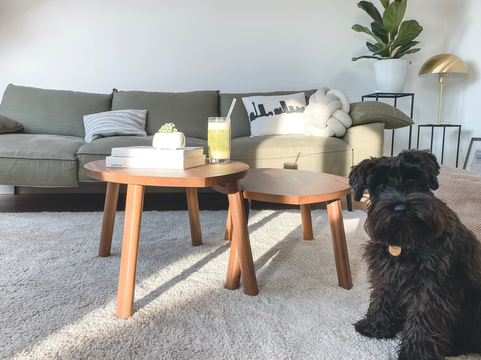 Carpet cleaning in Aiken, SC