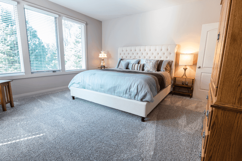 Carpet cleaning in Belvedere, SC