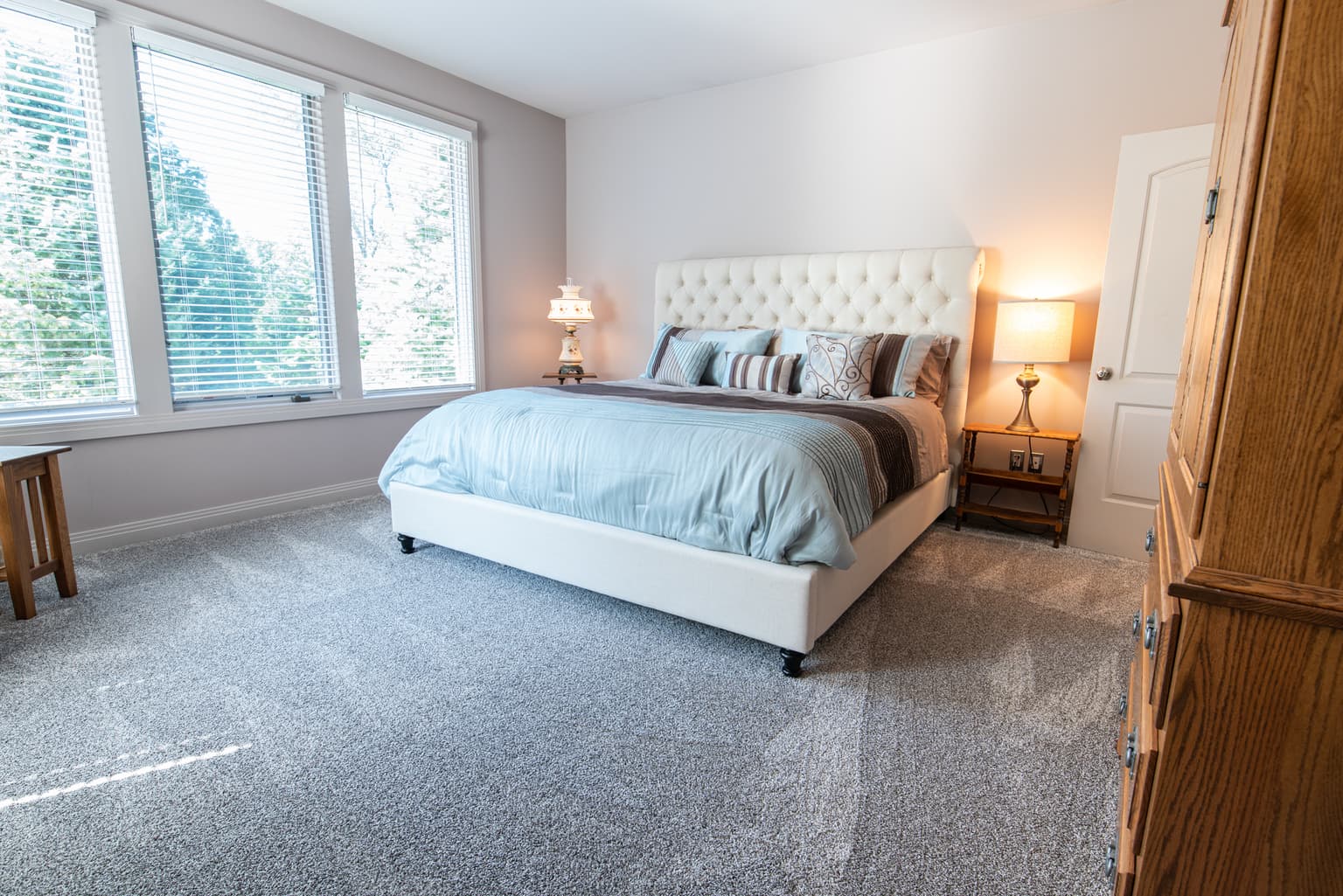 Carpet cleaning in Belvedere, SC
