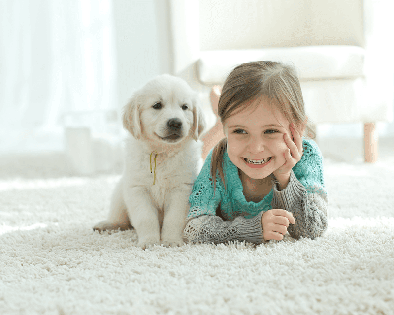 Carpet cleaning in Graniteville, SC
