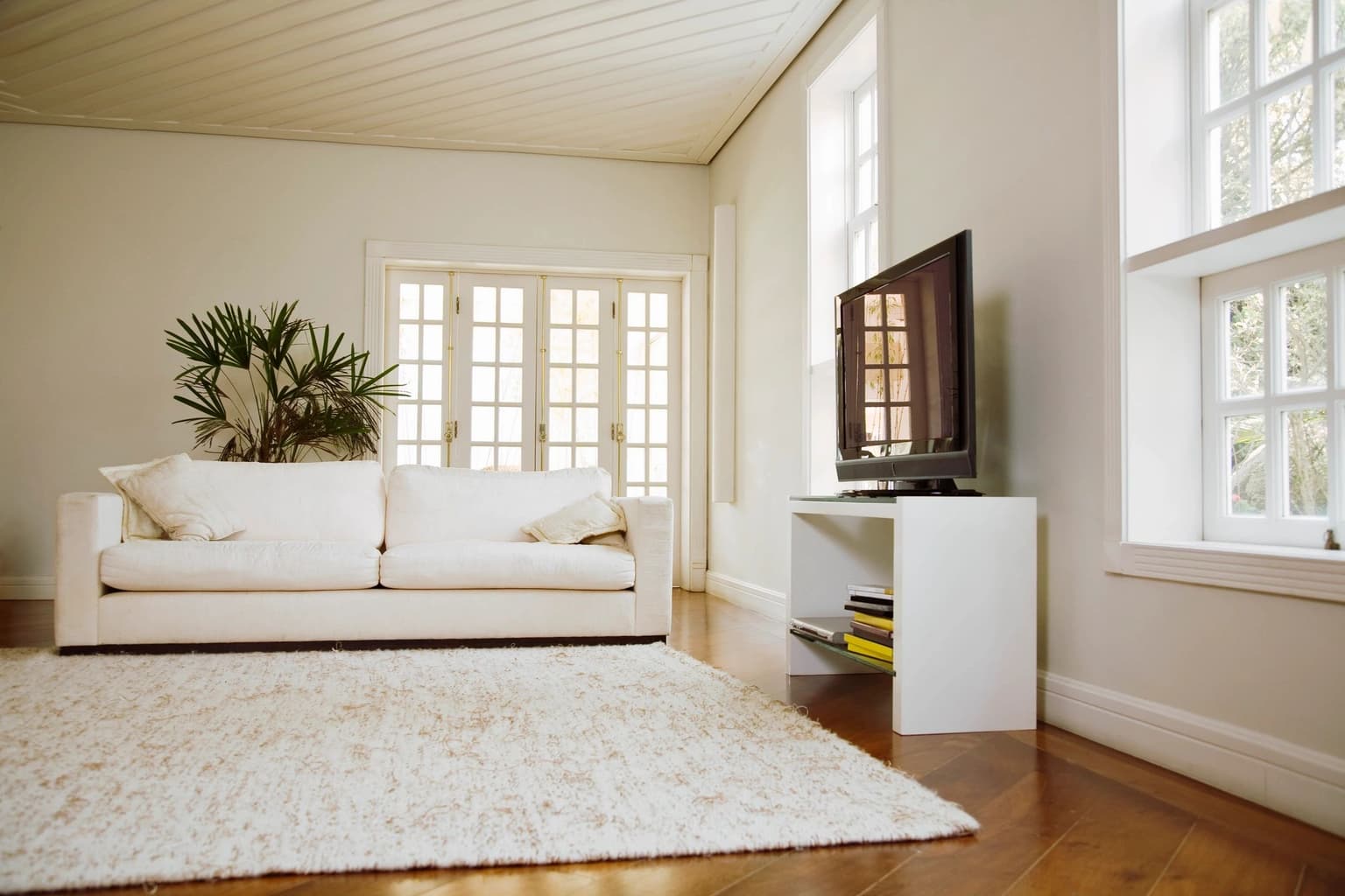 Carpet cleaning in North Augusta, SC